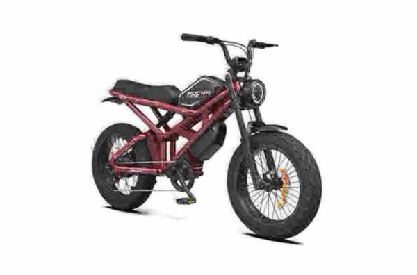Лепшая тоўстая шына Ebikes вытворца