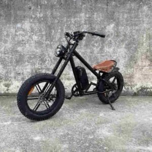 E Bike Складаны ровар вытворца