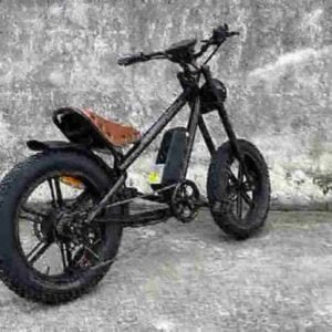 E Bikes Fat Tires вытворца