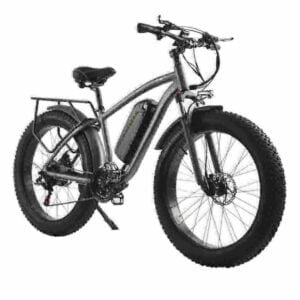 E Fat Bikes для продажу вытворца