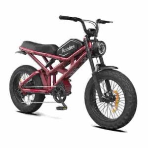 ebike 750w вытворца