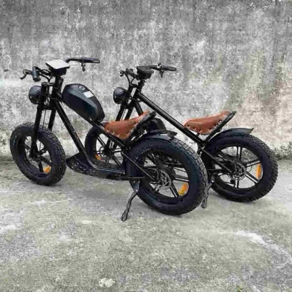 Ebikes Folding вытворца