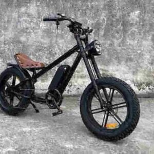 Эбайк Fat Bike вытворца