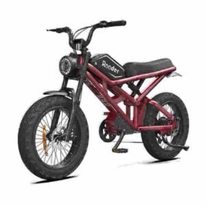 Аптовы электрычны байк Fat Bike вытворца